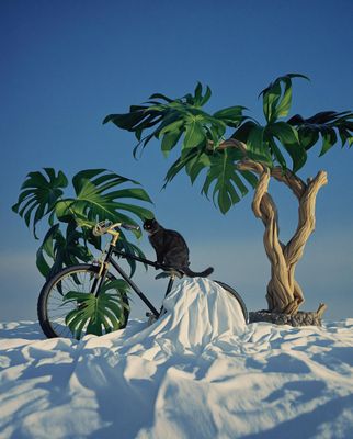 a cat sitting on the back of a bike in the snow