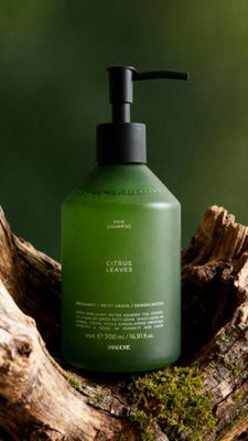 a bottle of green liquid sitting on top of a tree stump