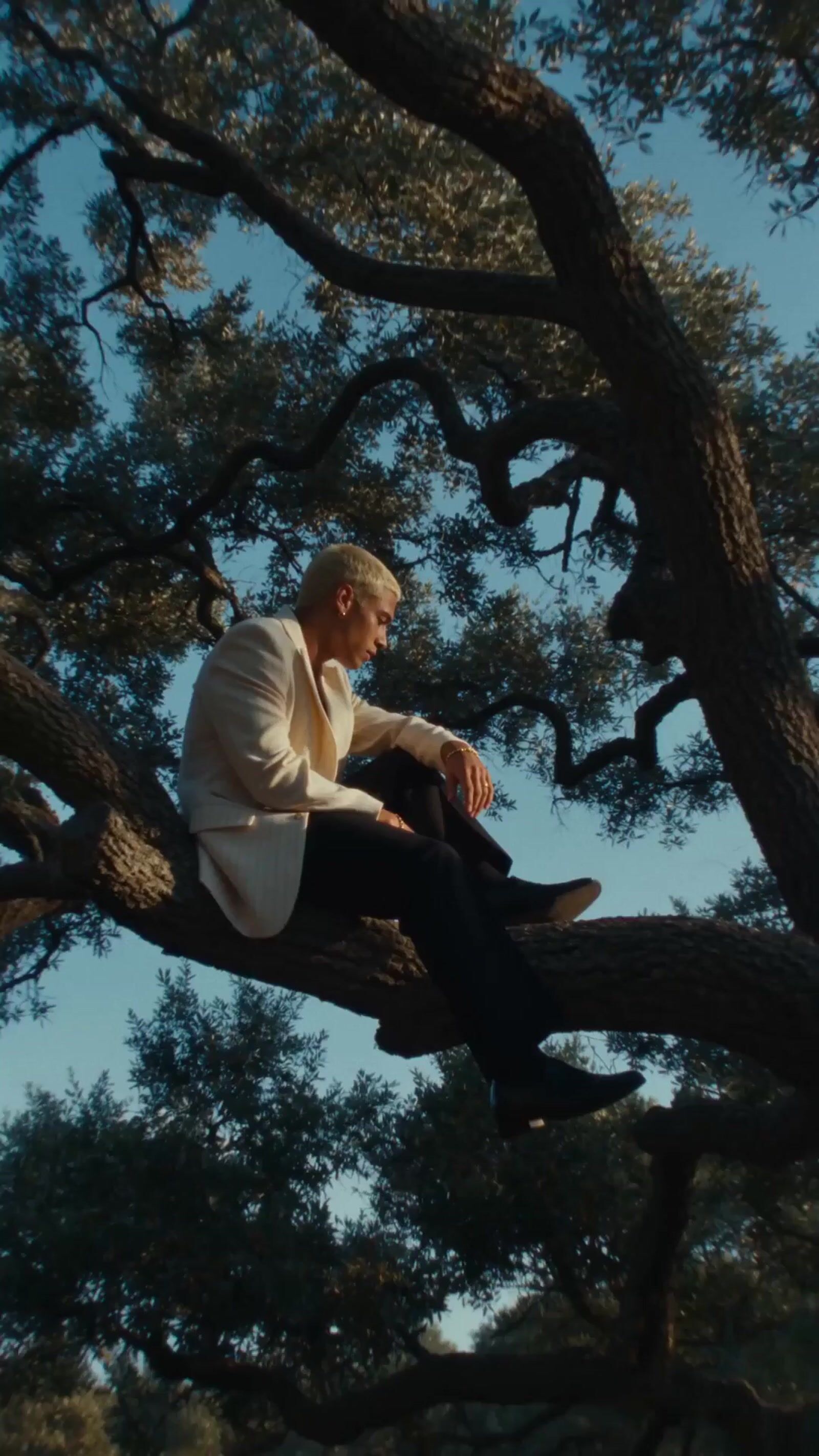 a man sitting in a tree with his feet up