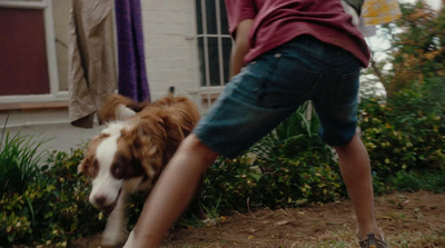 a young boy is playing with a dog outside