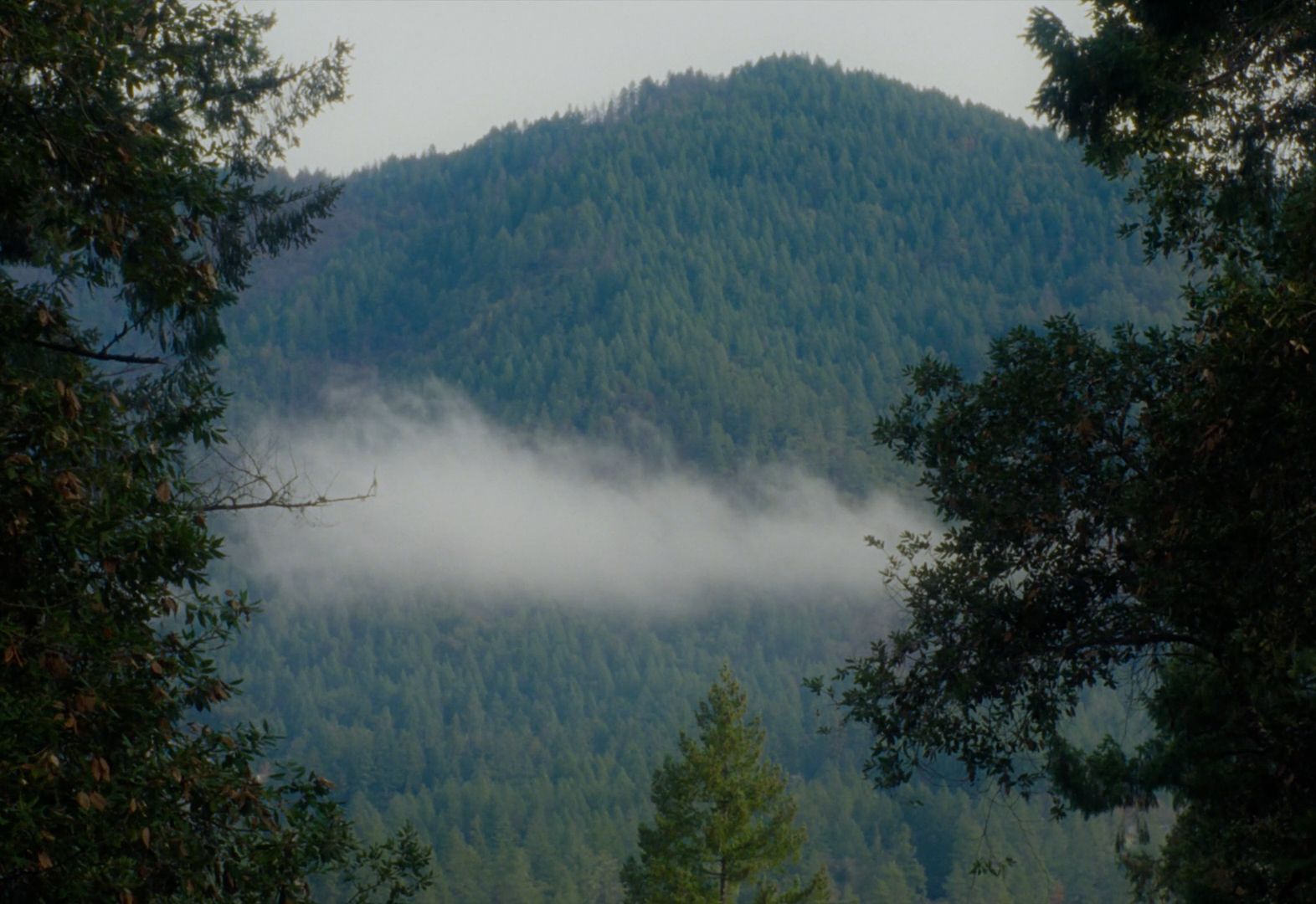 a view of a mountain covered in fog