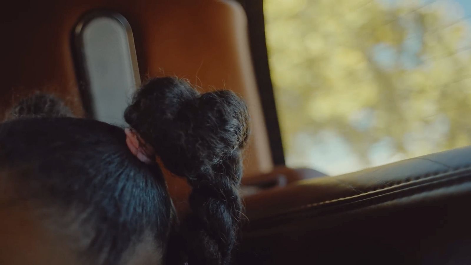 a woman with a braid in her hair sitting on a bus