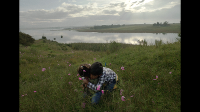 a young girl kneeling down in a field of flowers