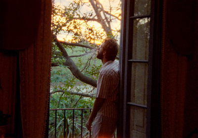 a man looking out of a window at a tree