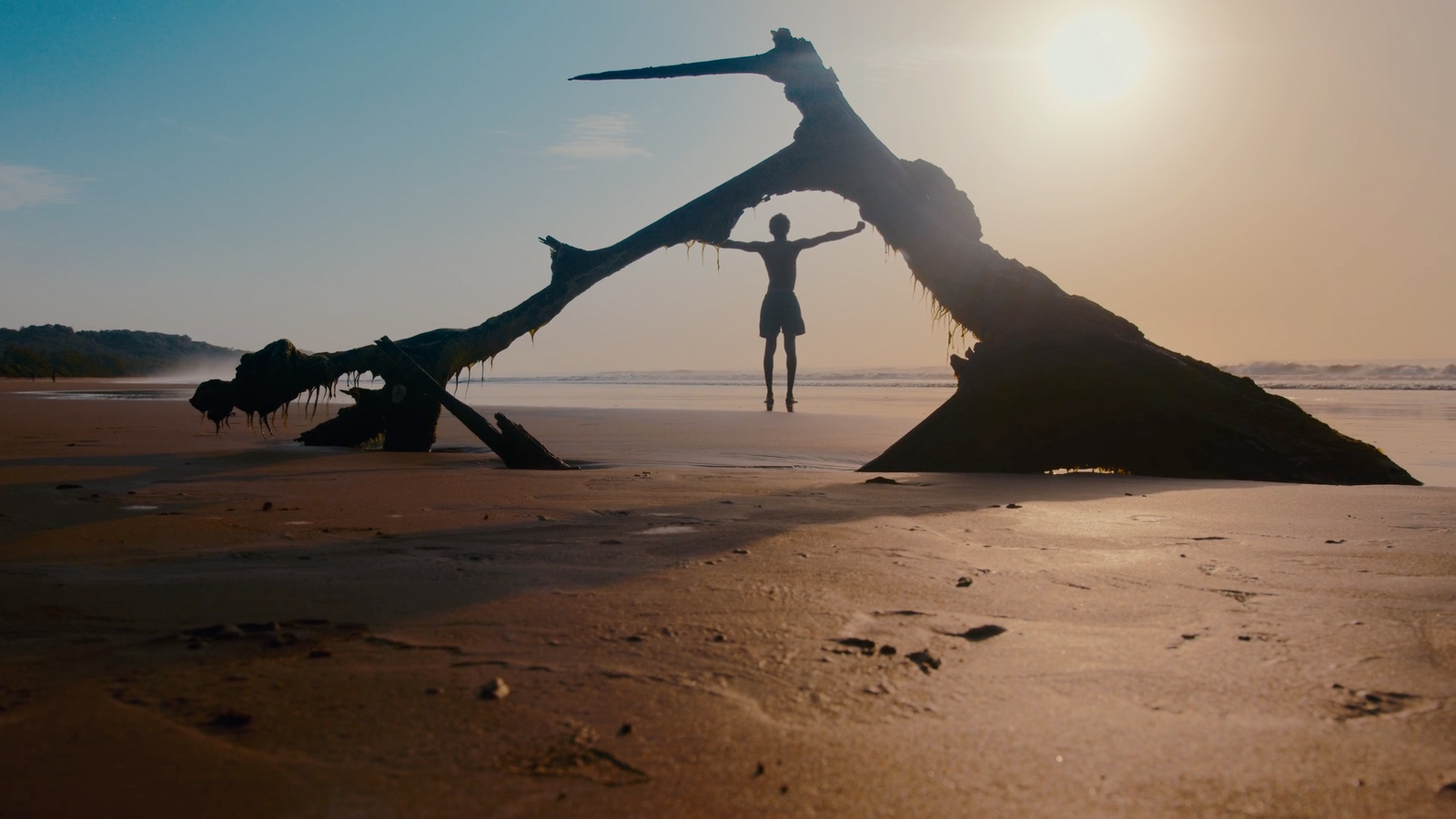 a person standing on a beach next to a fallen tree