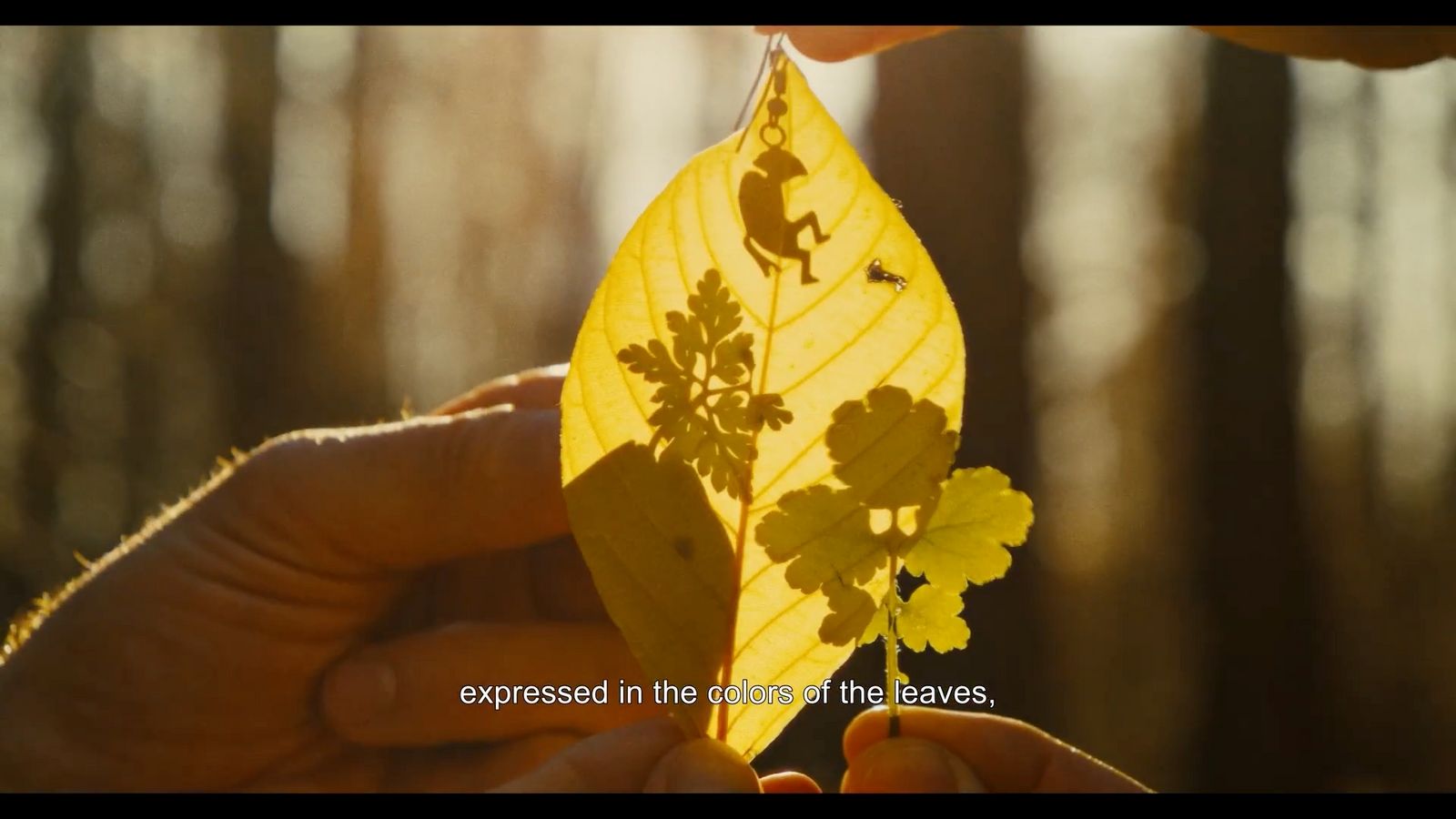 a person holding a leaf with a quote on it