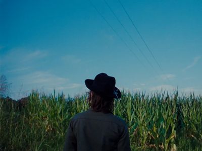 a man standing in a field of corn under a blue sky