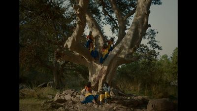 a group of people sitting in a tree