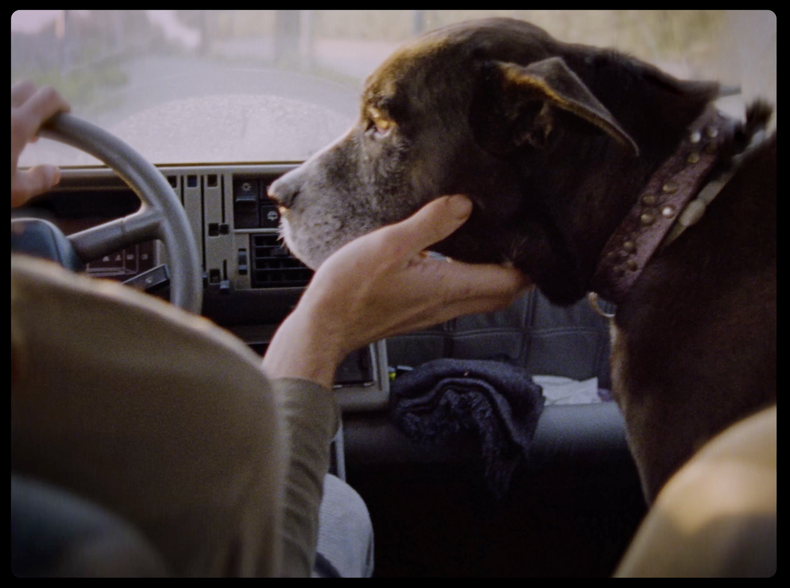 a dog sitting in the driver's seat of a car