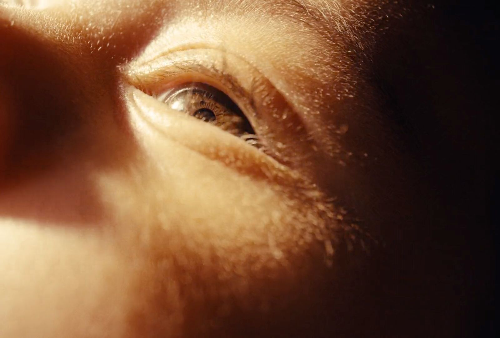 a close up of a person's eye with a blurry background