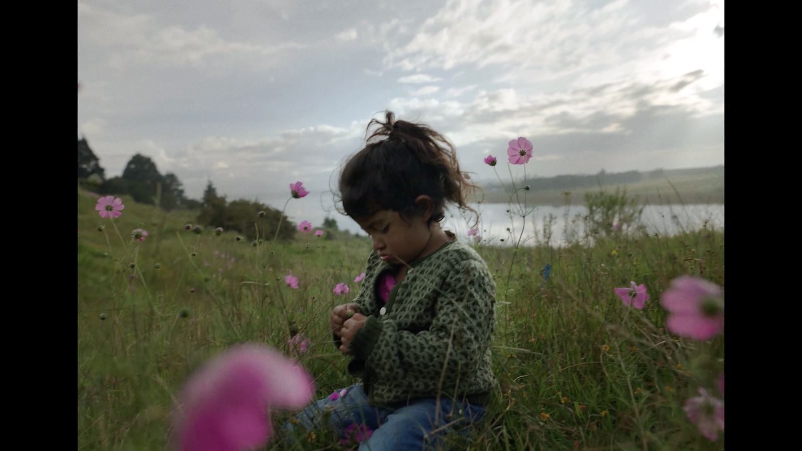 a little girl sitting in a field of flowers