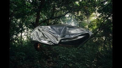 a black tarp covering a tree in a forest