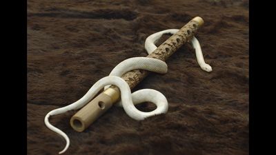 a white snake wrapped around a wooden stick