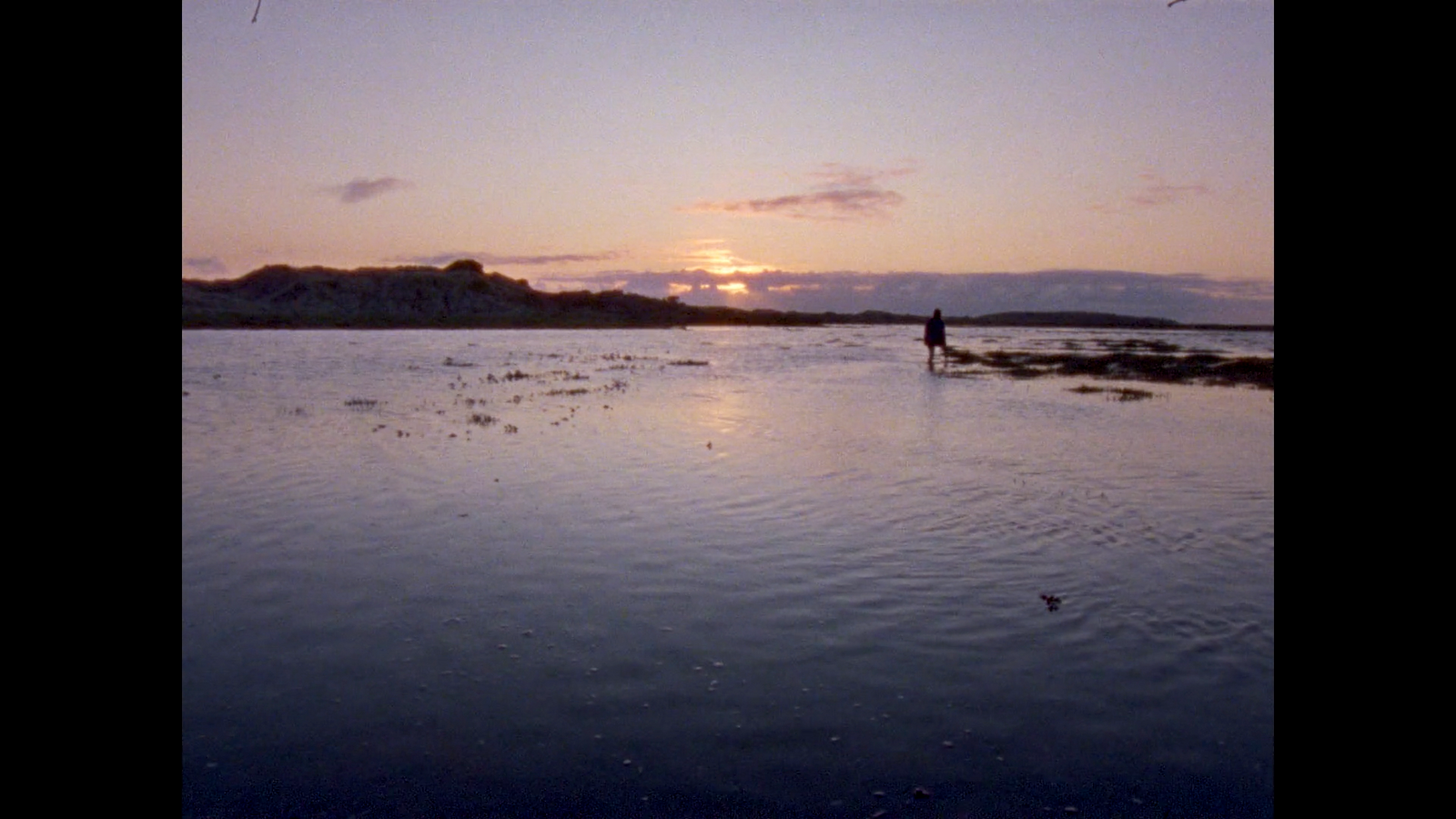 a person standing in a body of water at sunset