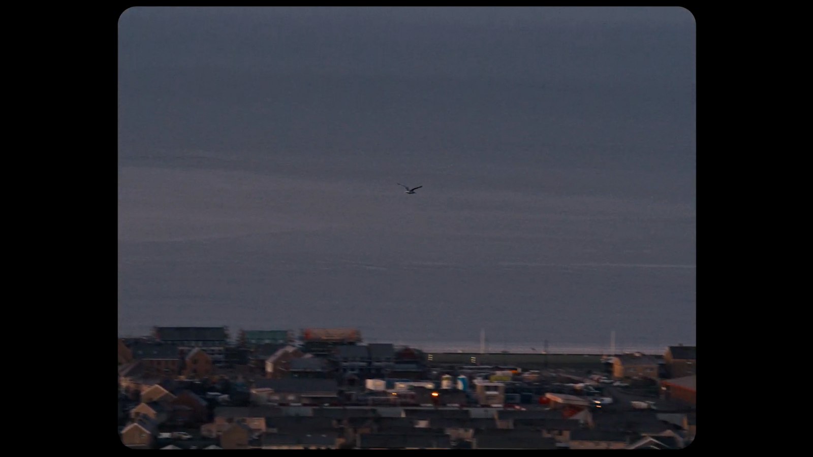 a bird flying over a city at night