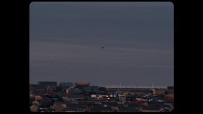 a bird flying over a city at night