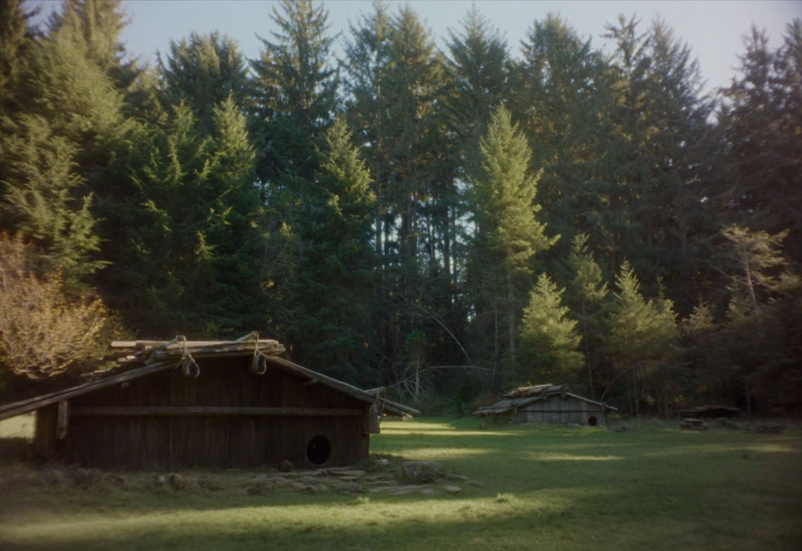 a cabin in the middle of a forest