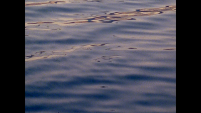 a bird is sitting on the edge of a body of water