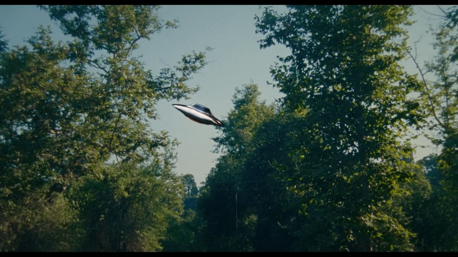 a black and white kite flying over trees