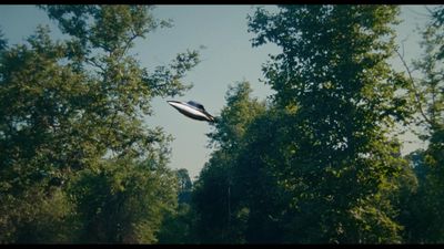 a black and white kite flying over trees