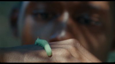 a close up of a person holding a green caterpillar