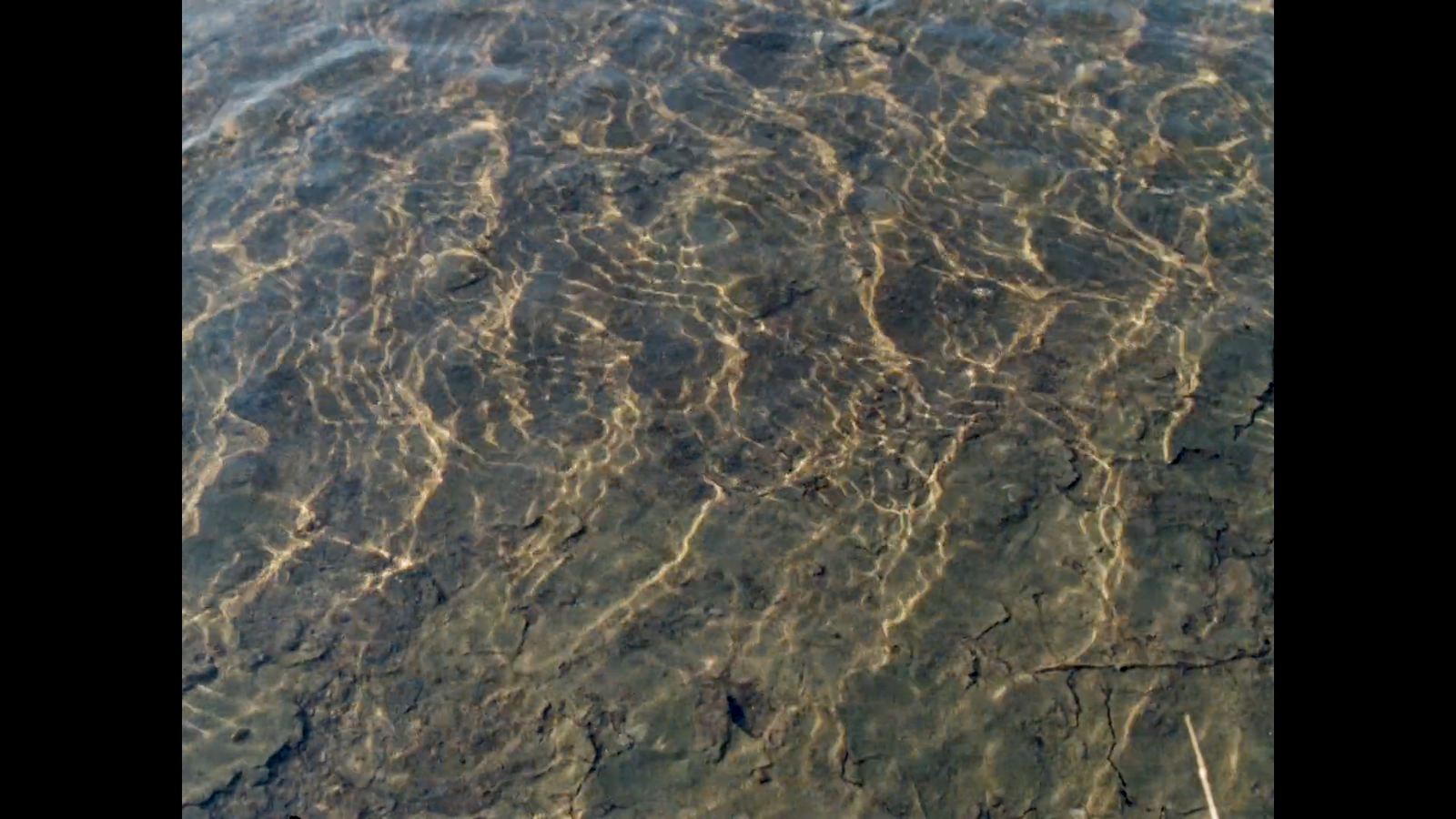 a view of the water from a plane