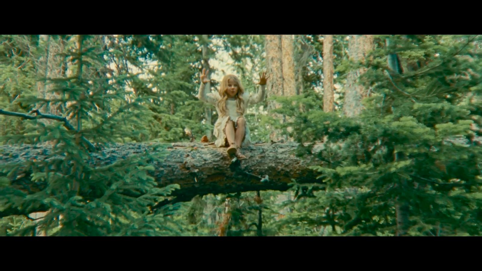 a little girl sitting on top of a tree branch