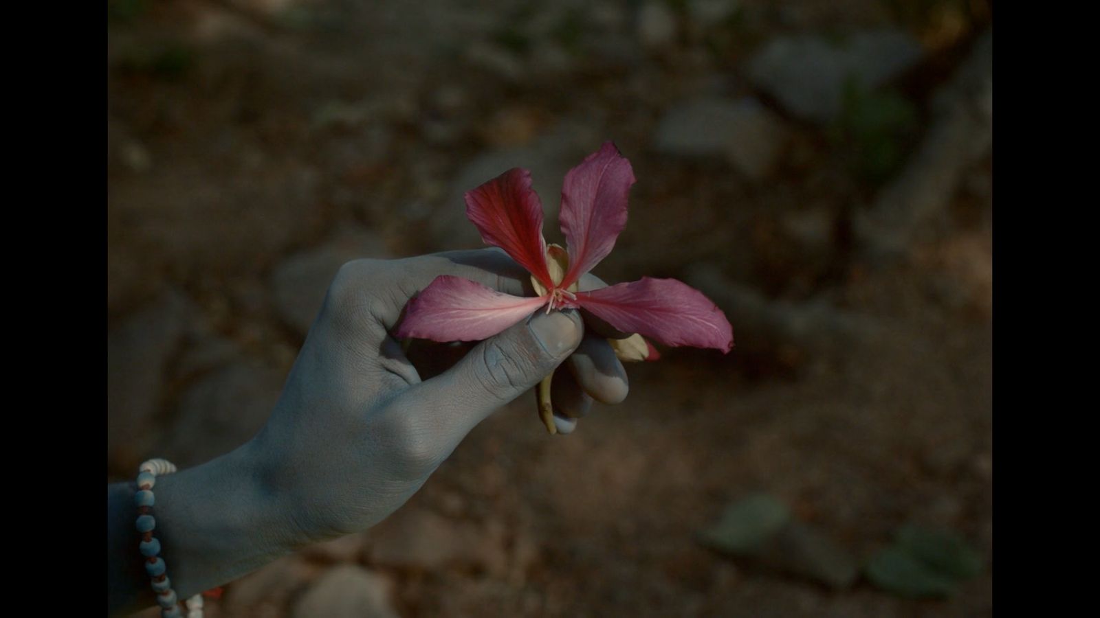 a person holding a flower in their hand