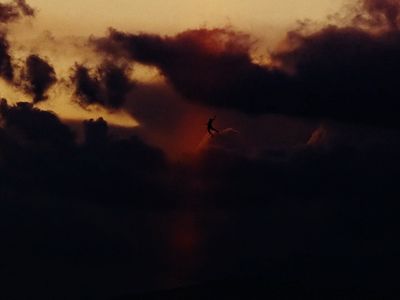 a bird flying through a cloudy sky at sunset