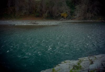 a body of water surrounded by trees and rocks