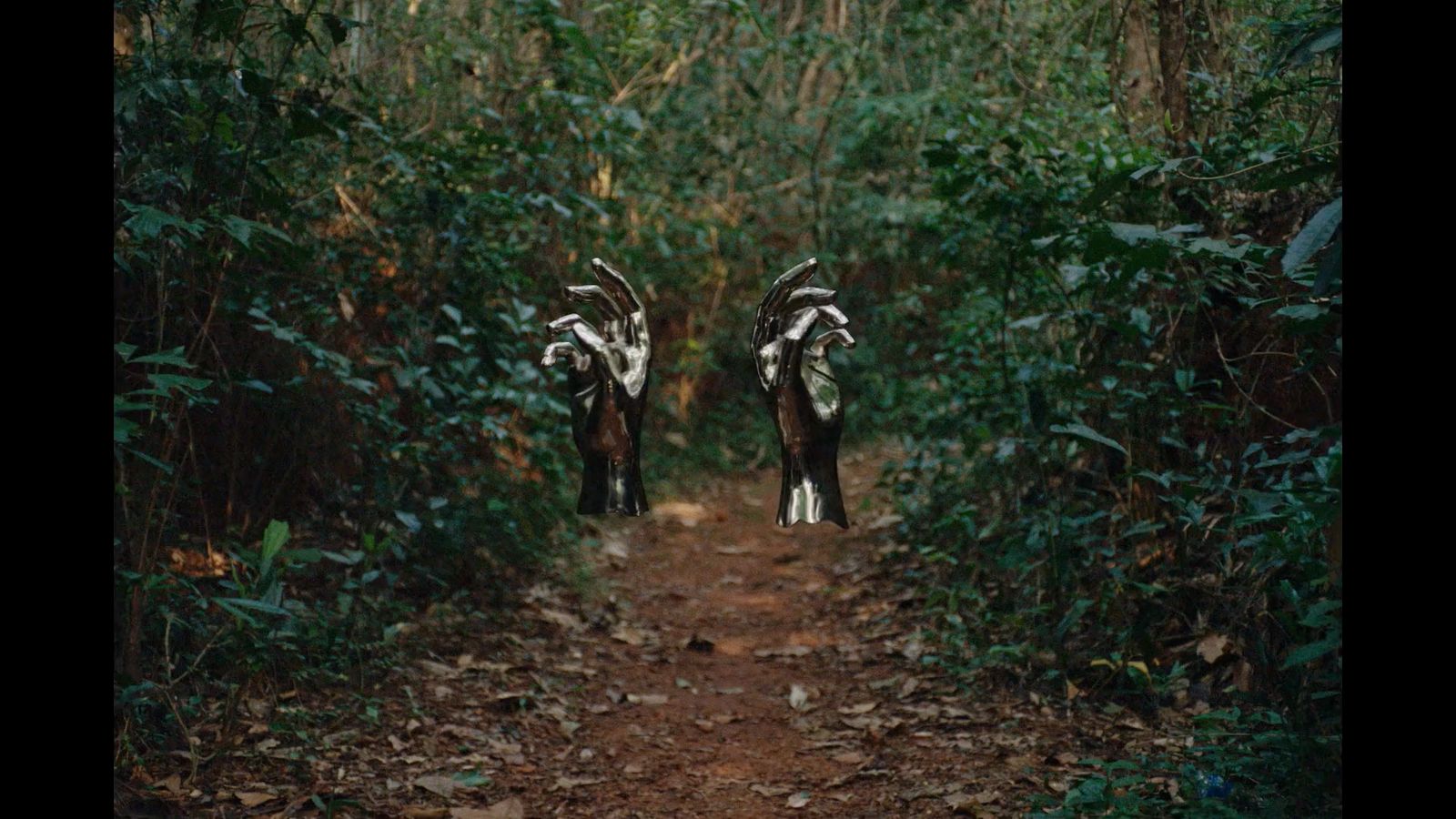 a couple of goats standing on top of a dirt road