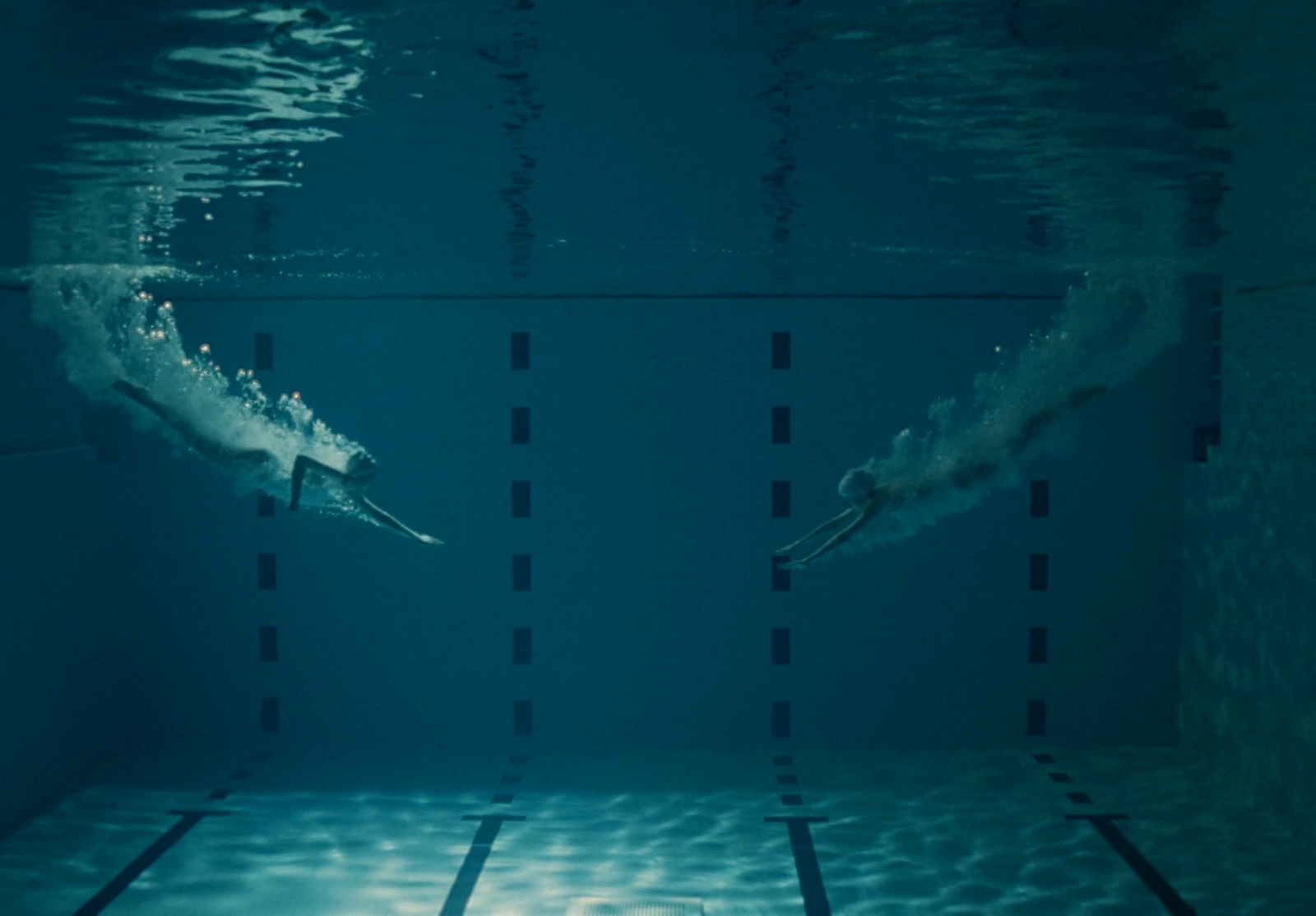 a couple of dolphins swimming in a pool