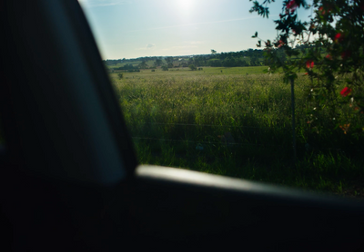 a view of a field through a car window