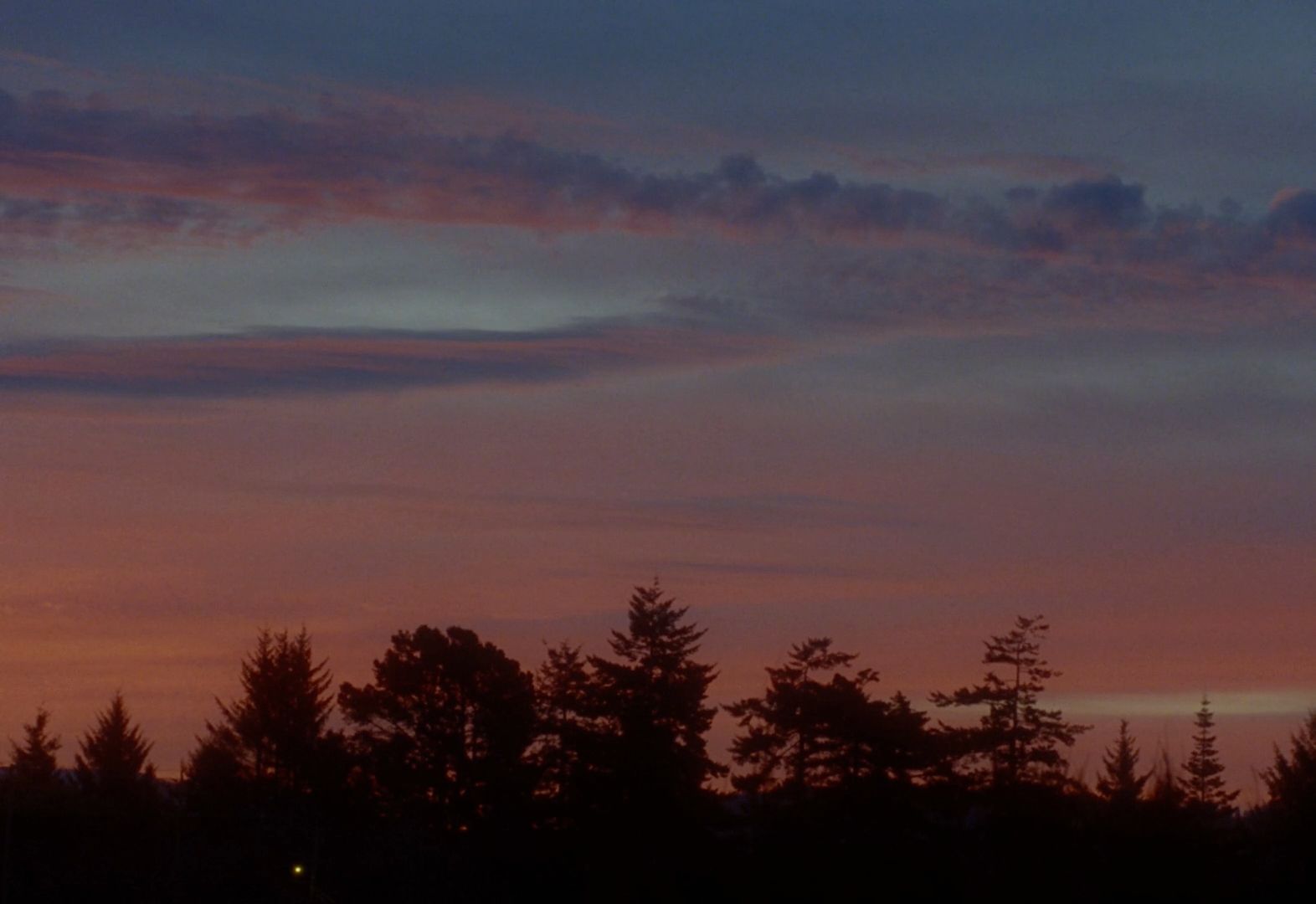 a plane flying over a forest at sunset