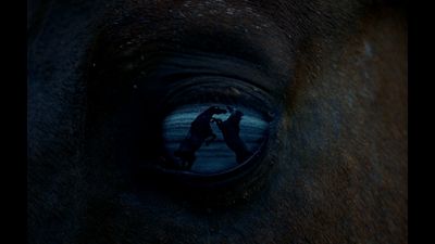 a close up of a horse's eye with a reflection of a person on