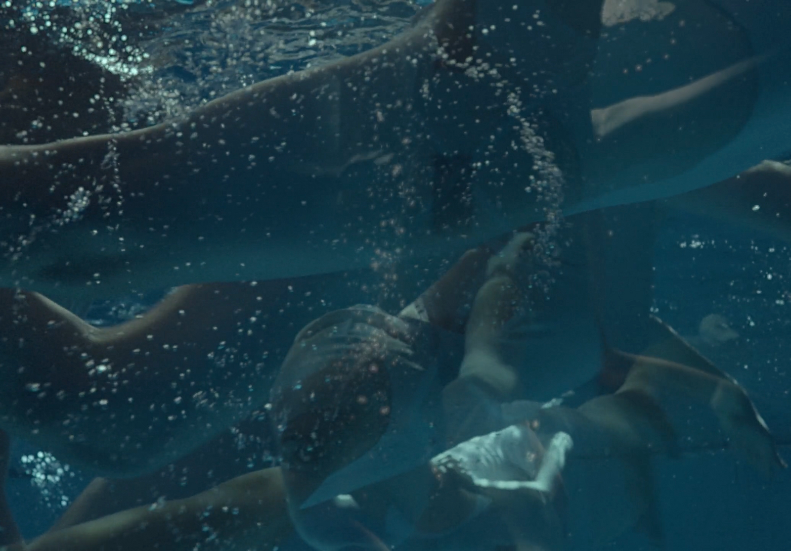 a group of people swimming in the water