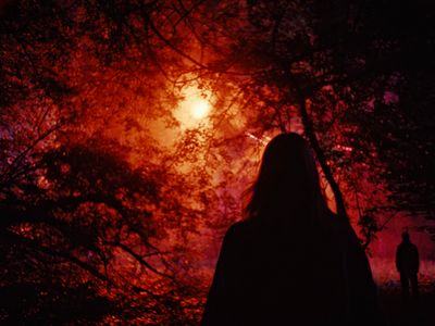 a person standing in front of a tree at night