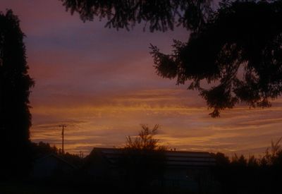 a view of a sunset through some trees