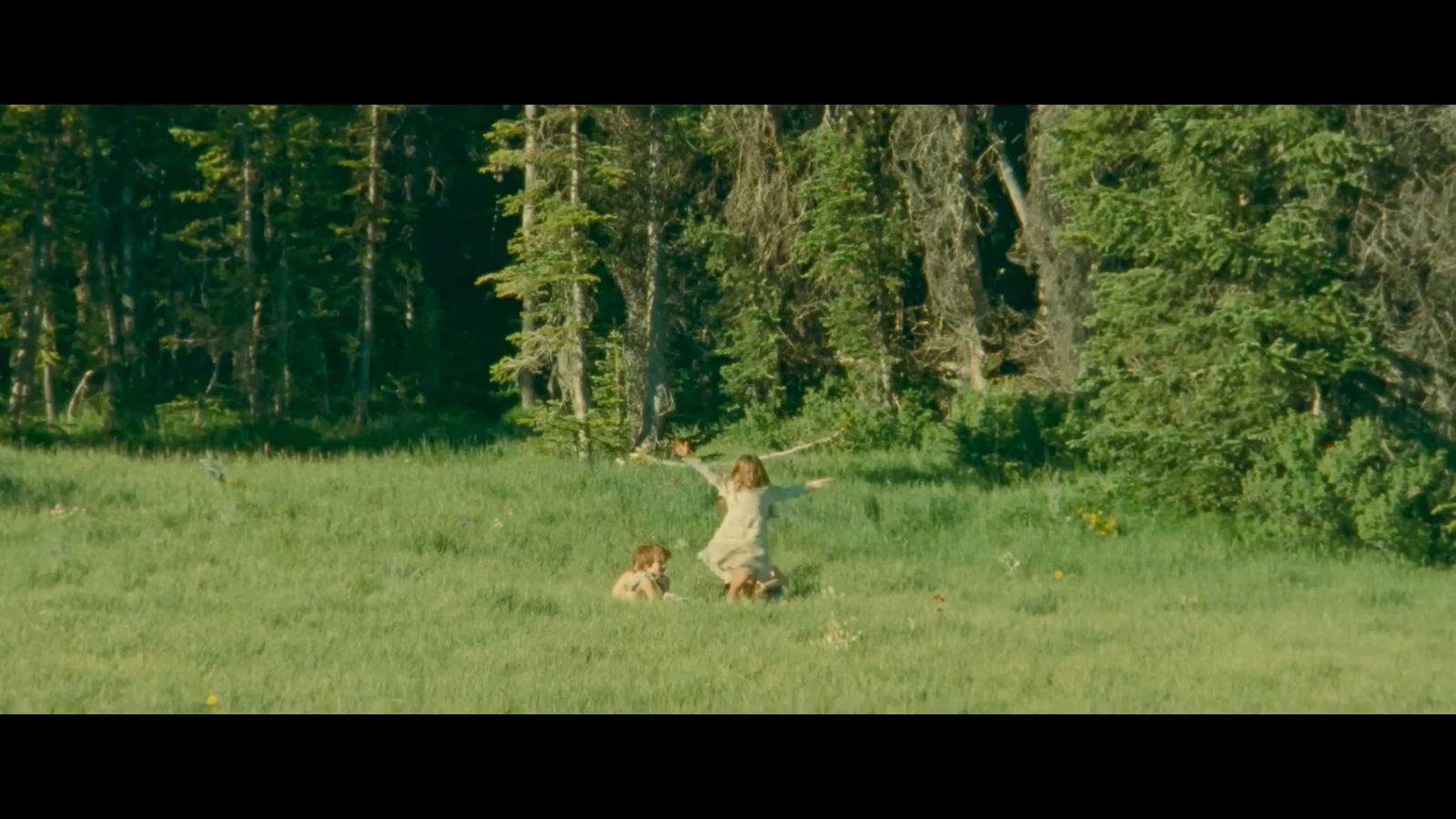 a woman in a field with two dogs