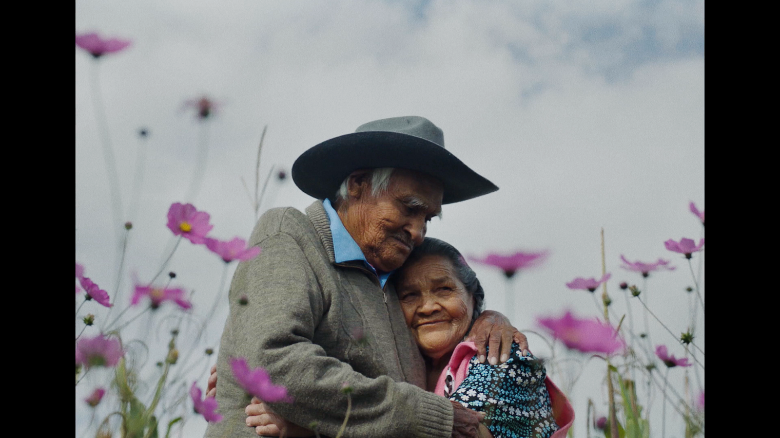 a man and a woman standing in a field of flowers