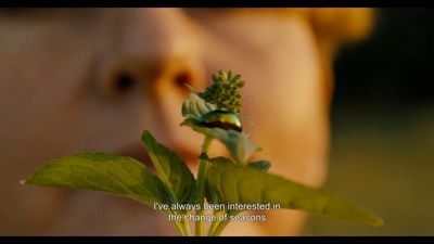 a close up of a person holding a plant