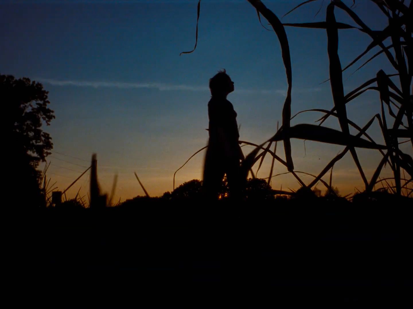 a silhouette of a person standing in a field