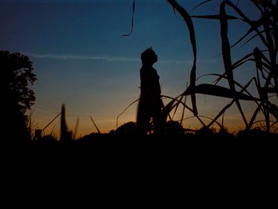 a silhouette of a person standing in a field