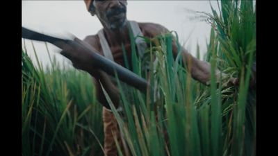 a man holding a knife in a field of tall grass