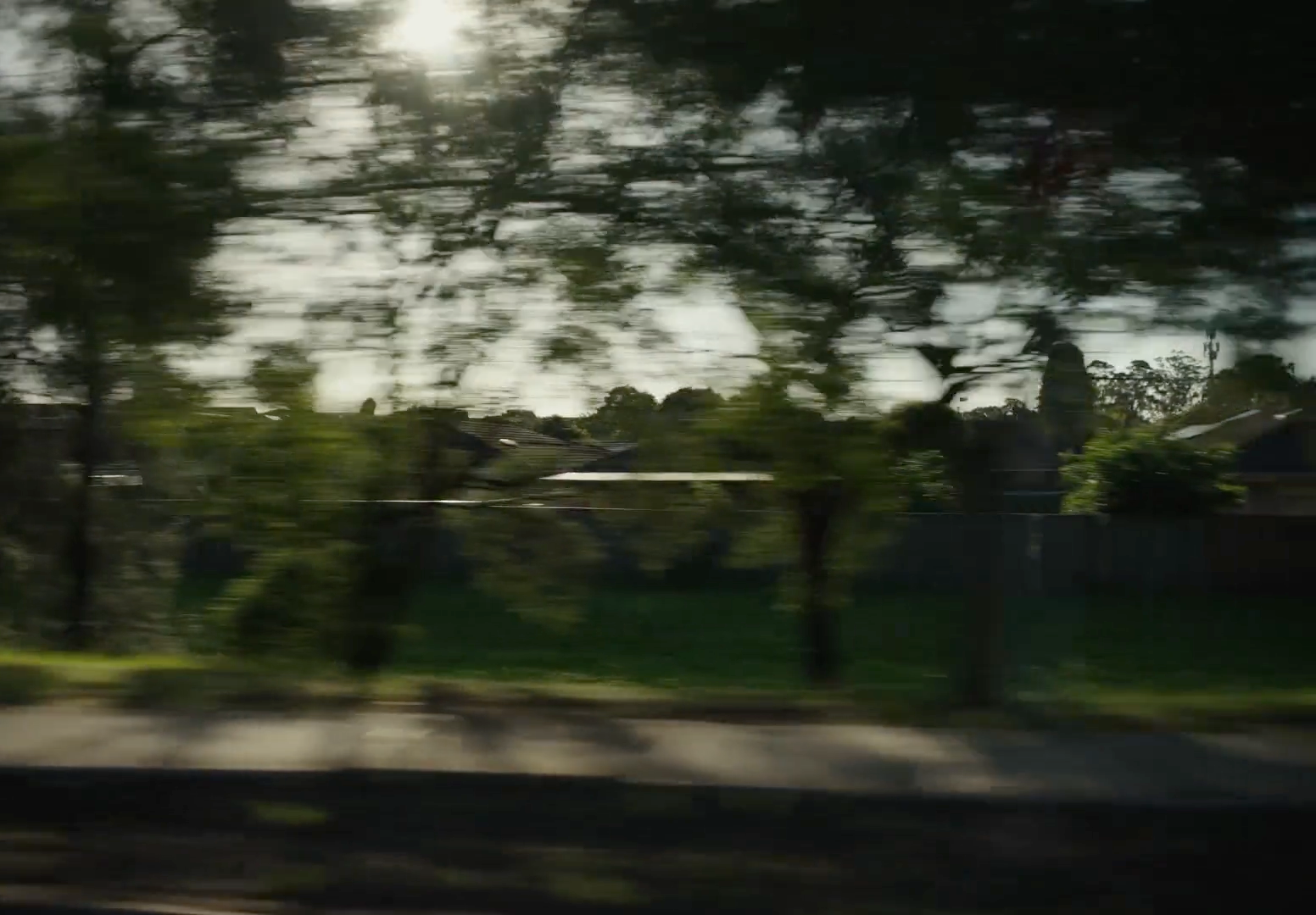 a blurry picture of trees and a street