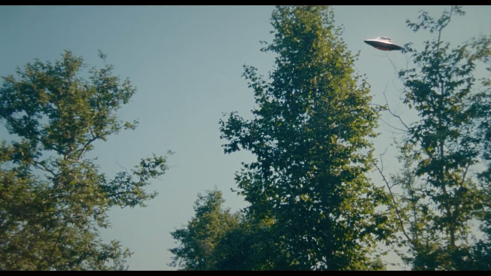 a flying object in the middle of a forest