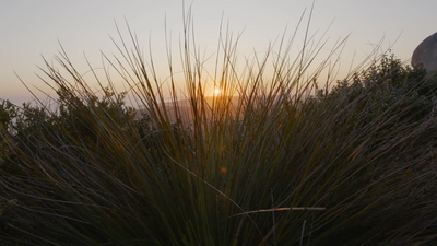 the sun is setting over a grassy hill