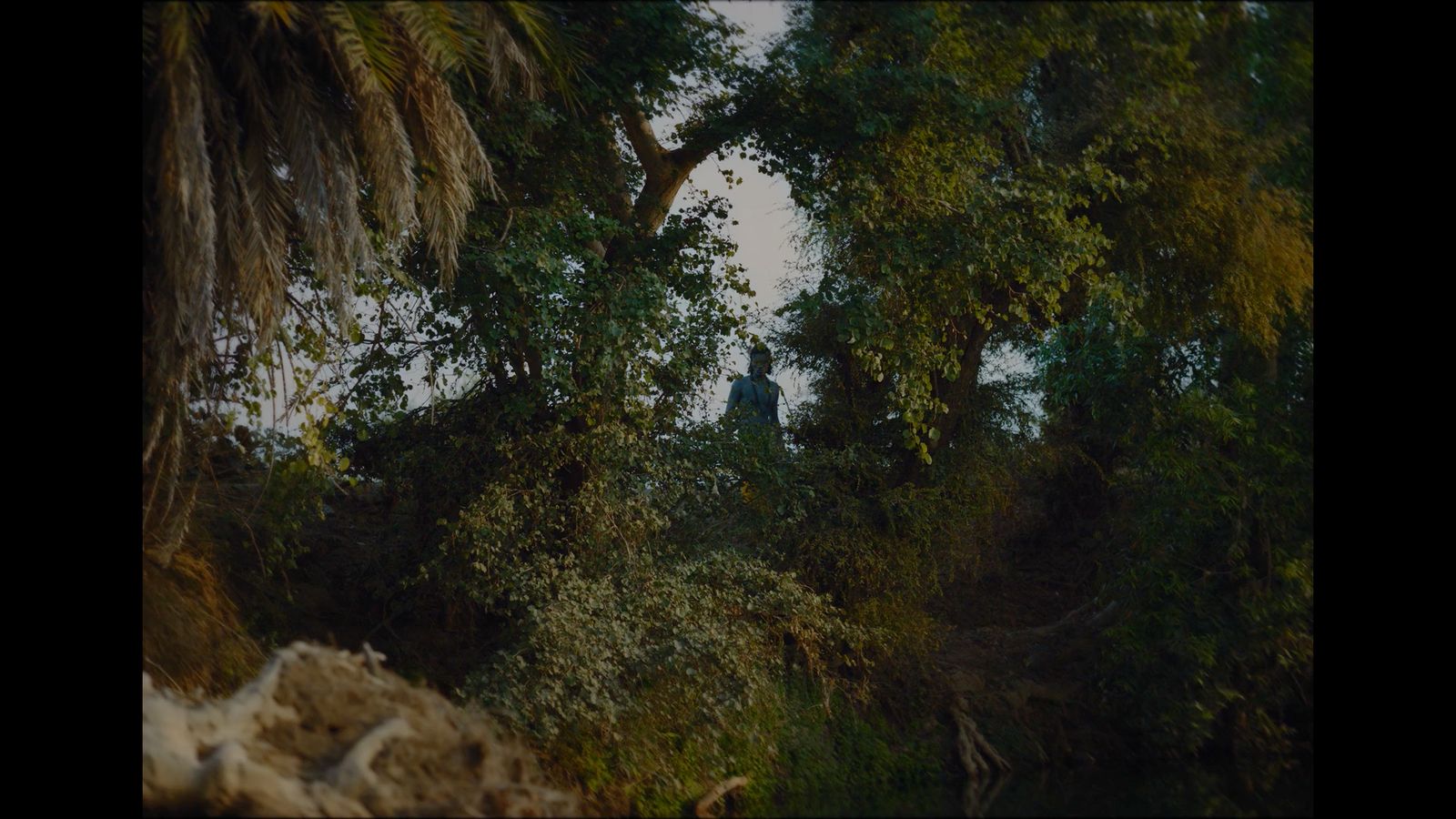 a man standing on a tree in the middle of a forest