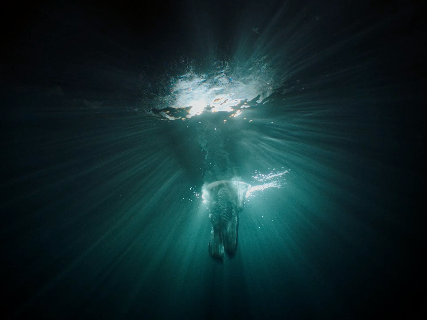 an underwater view of a person swimming in the water