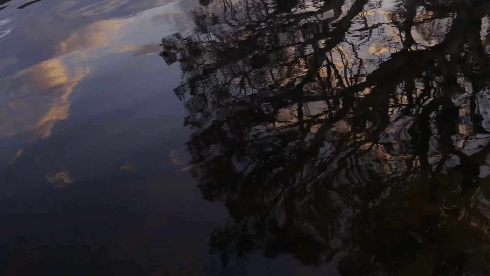 a body of water with trees reflected in it